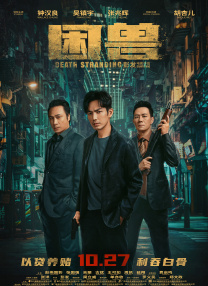 印度成人av在线播放